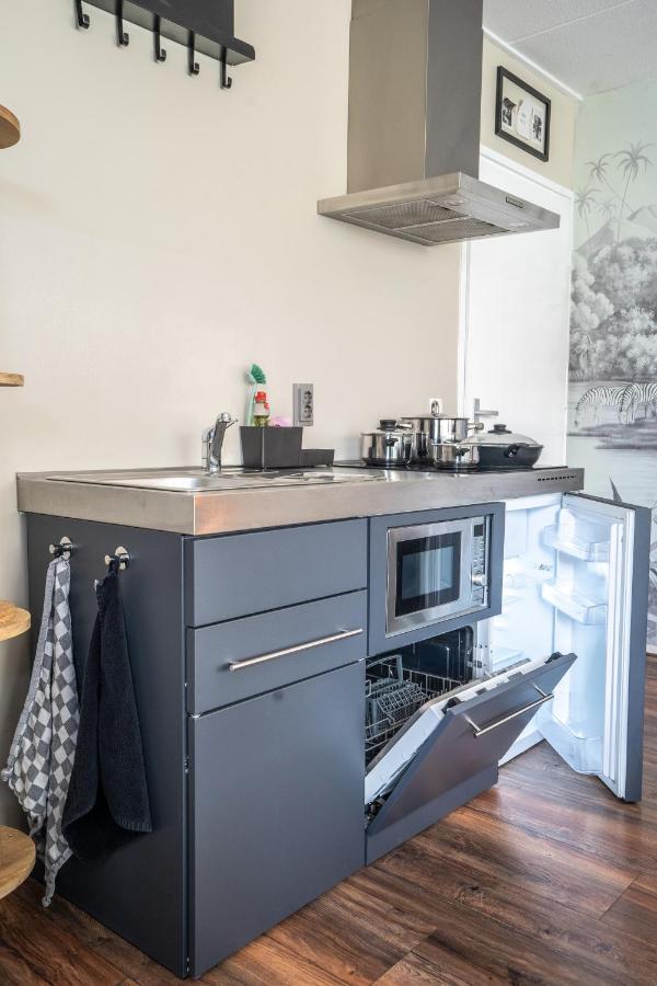 The Lion King - 6 Person Linked Apartment With Roof Terrace Groningue Extérieur photo